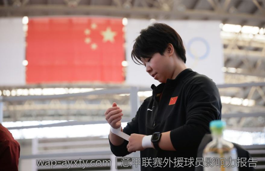 意甲联赛外援球员影响力报告