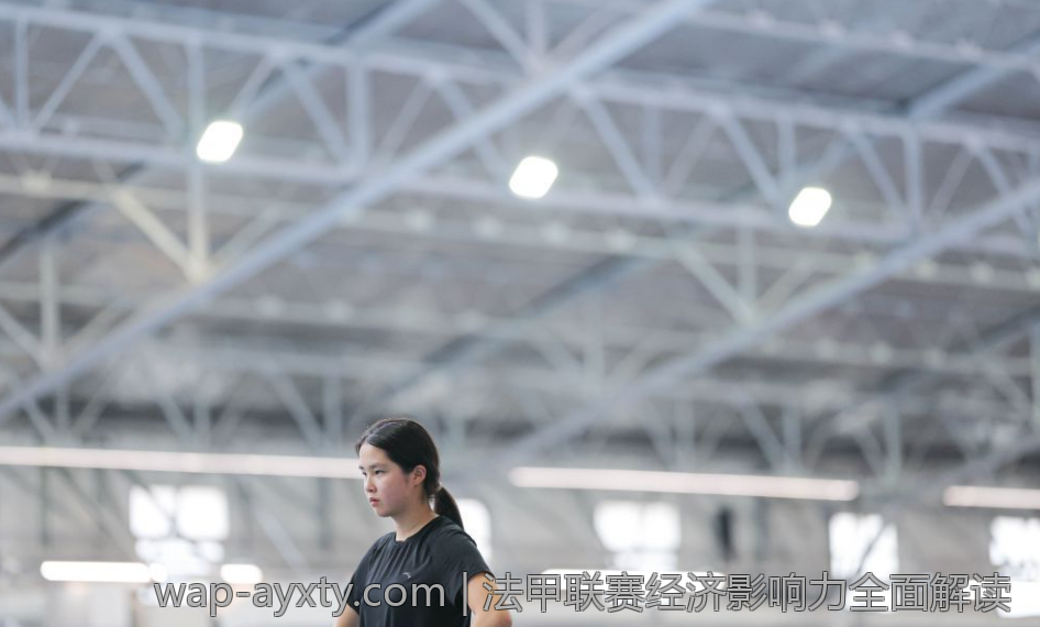 法甲联赛经济影响力全面解读