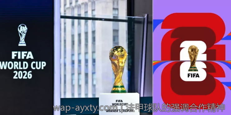 法甲球队的强调合作精神