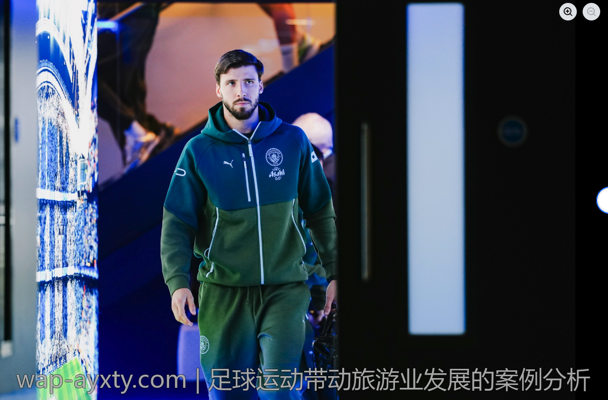 足球运动带动旅游业发展的案例分析